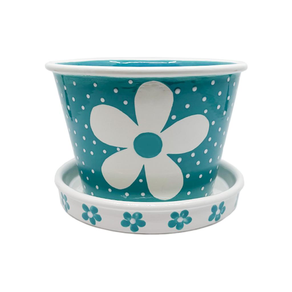 Rolled Edge Flower Pot with Saucer