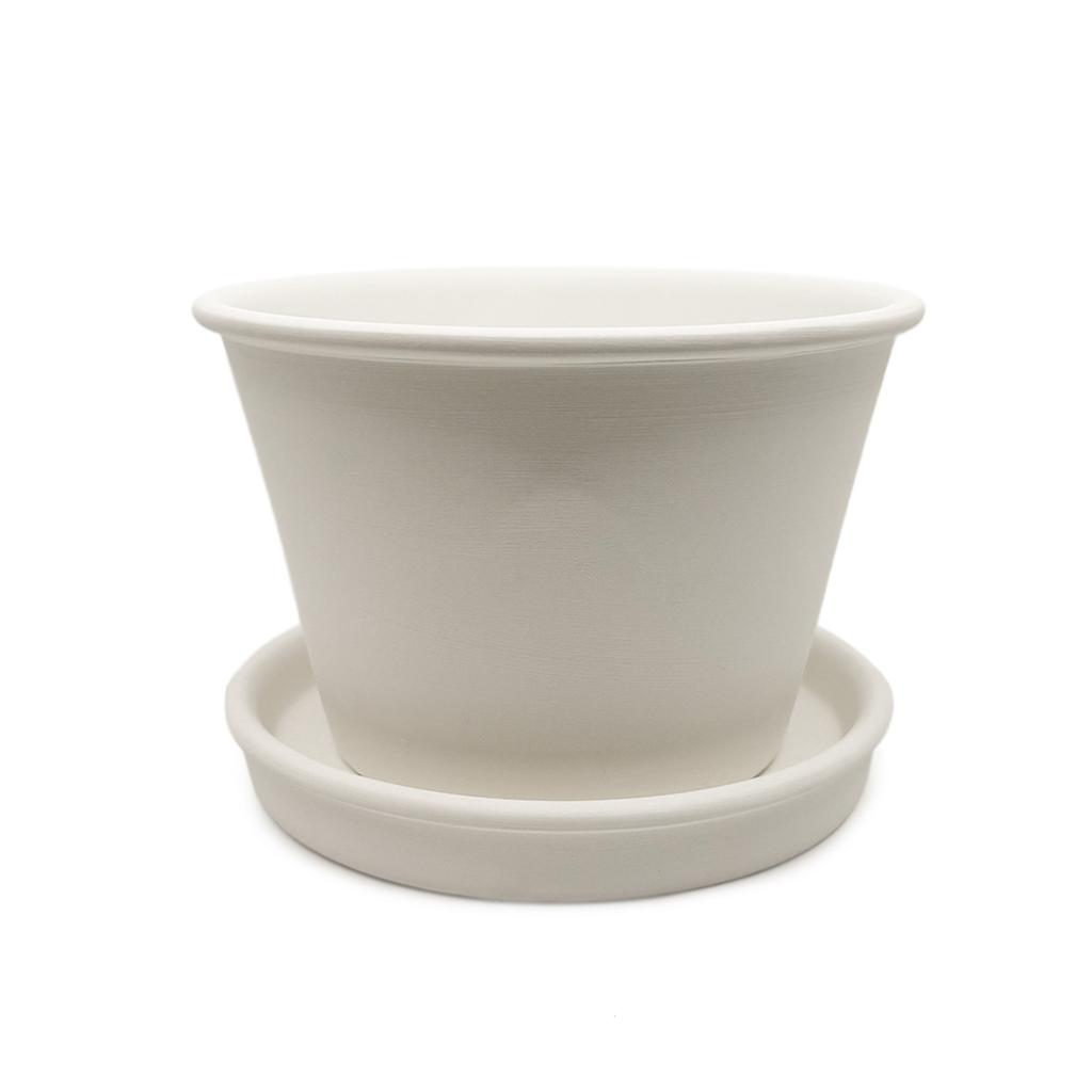Rolled Edge Flower Pot with Saucer