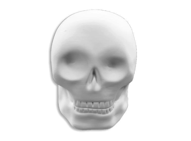 Skull Mini Make & Take Kit – Acrylic Paint