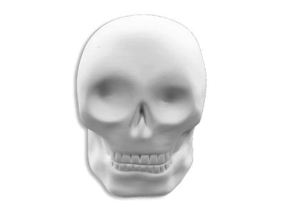 Skull Mini Make & Take Kit – Acrylic Paint